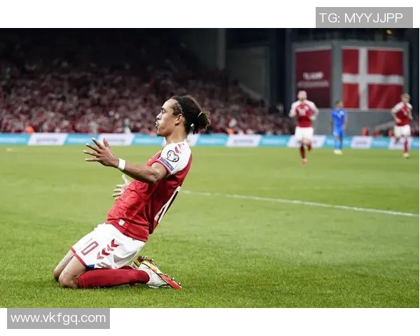 波尔森丹麦高塔的忠诚守护与坚守精神的传承与发扬